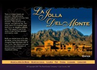 Real Estate Website Design